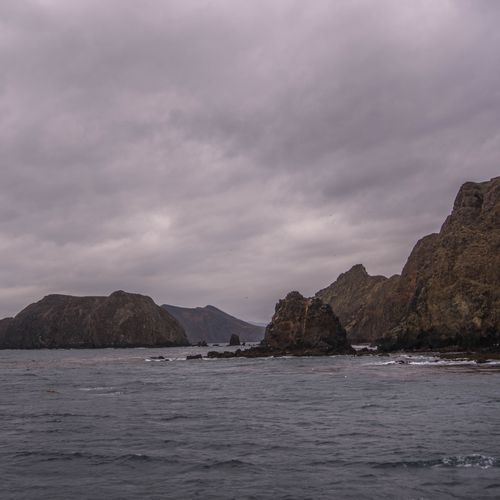 Pinniped Point