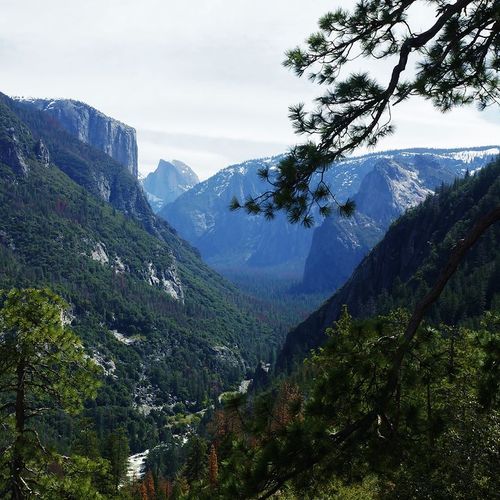 Viewpoint