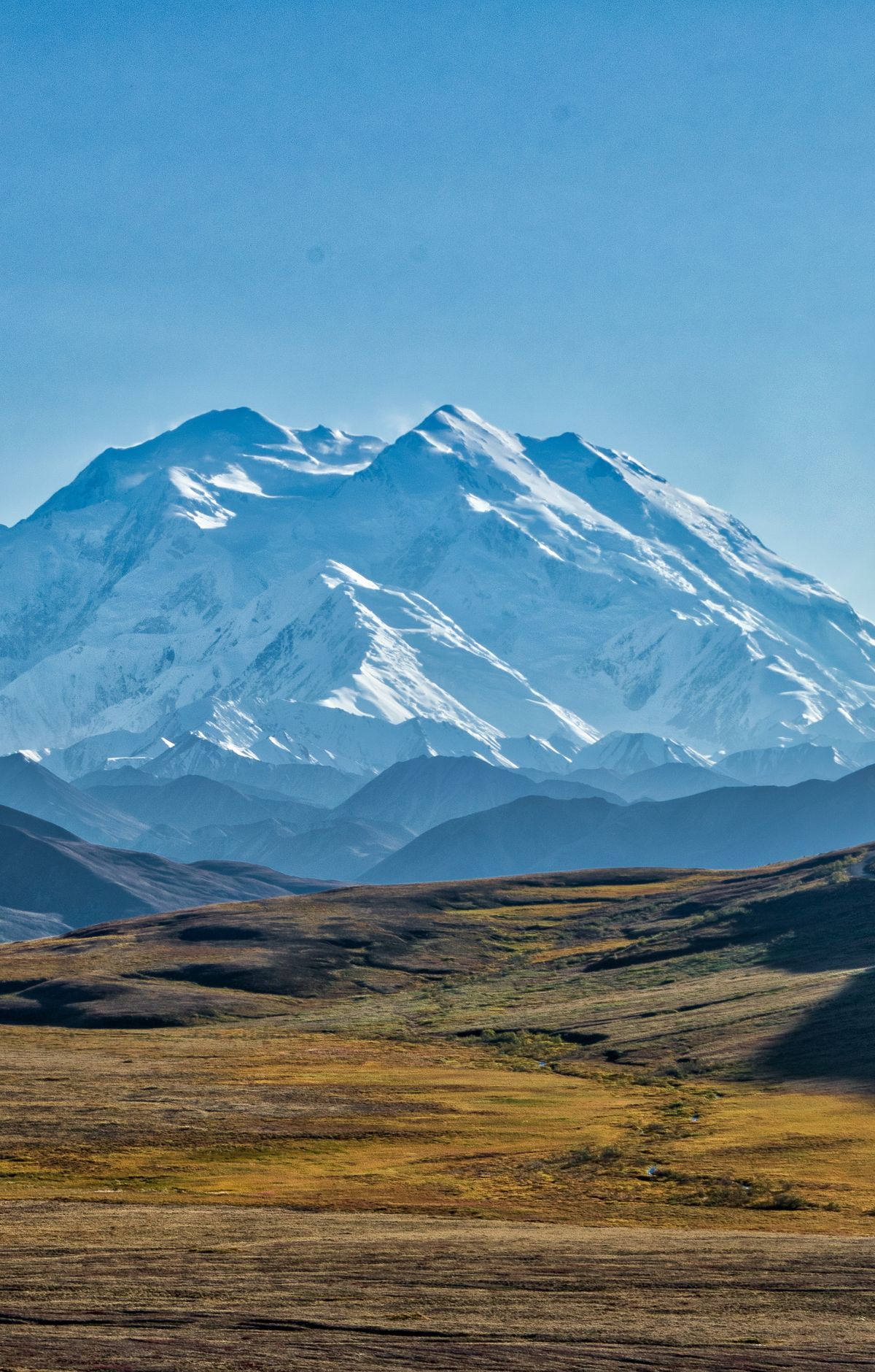 Taiga to Tundra Above 2,500 Feet, Denali National Park & Preserve