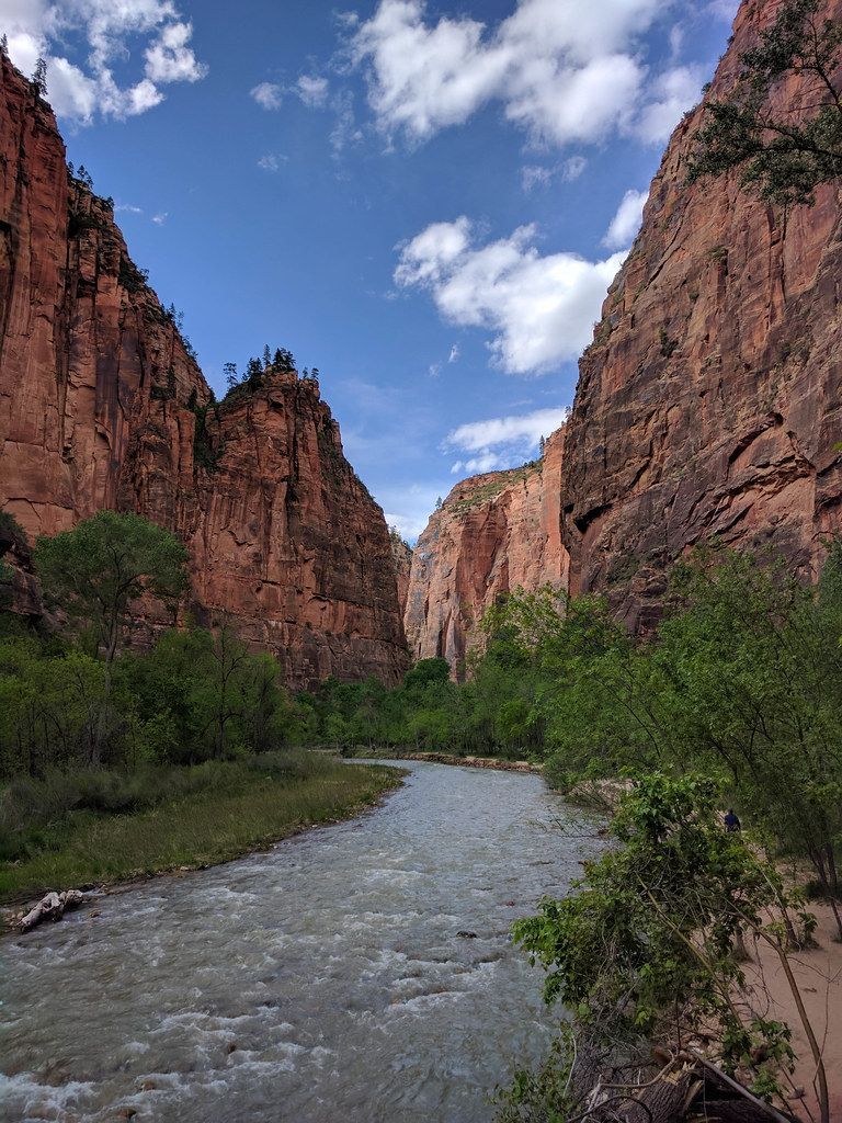 Walking the Floor Beneath Zion's Walls, Zion National Park