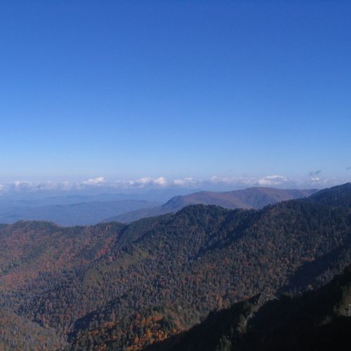 Baxter Creek Trail