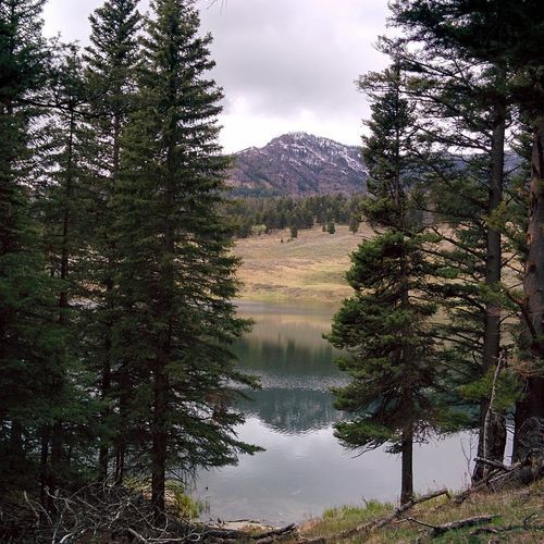 Trout Lake