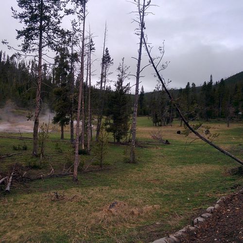 Clearwater Springs