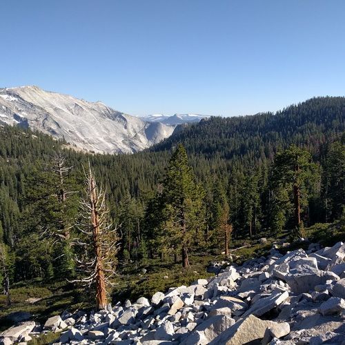 Viewpoint