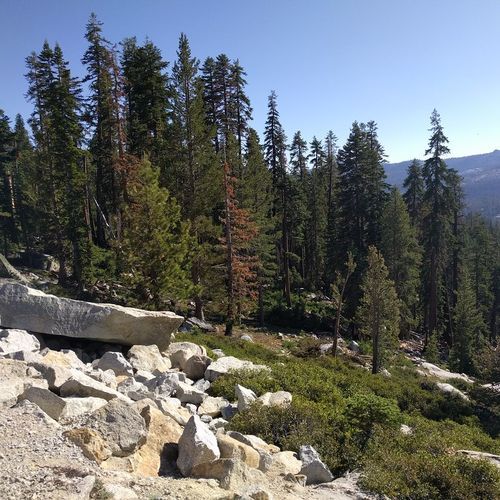 Viewpoint