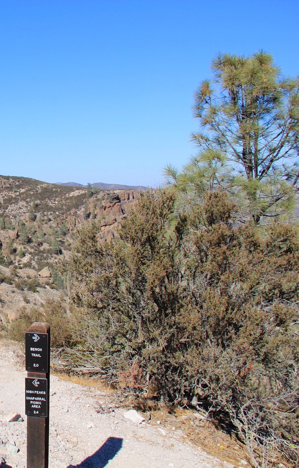Beating the 100-Degree Heat: When to Visit, Pinnacles National Park