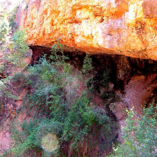 Mossy Cave Trail