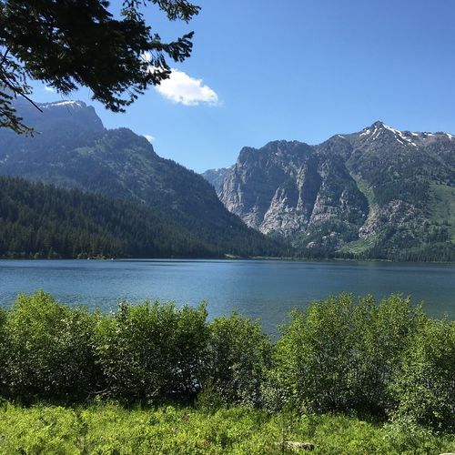 Phelps Lake Loop Trail