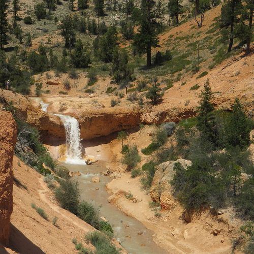 Tropic Ditch Falls