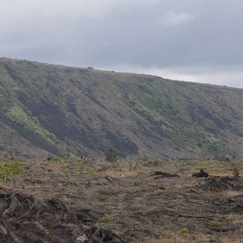Puʻu Loa Petroglyphs Trail