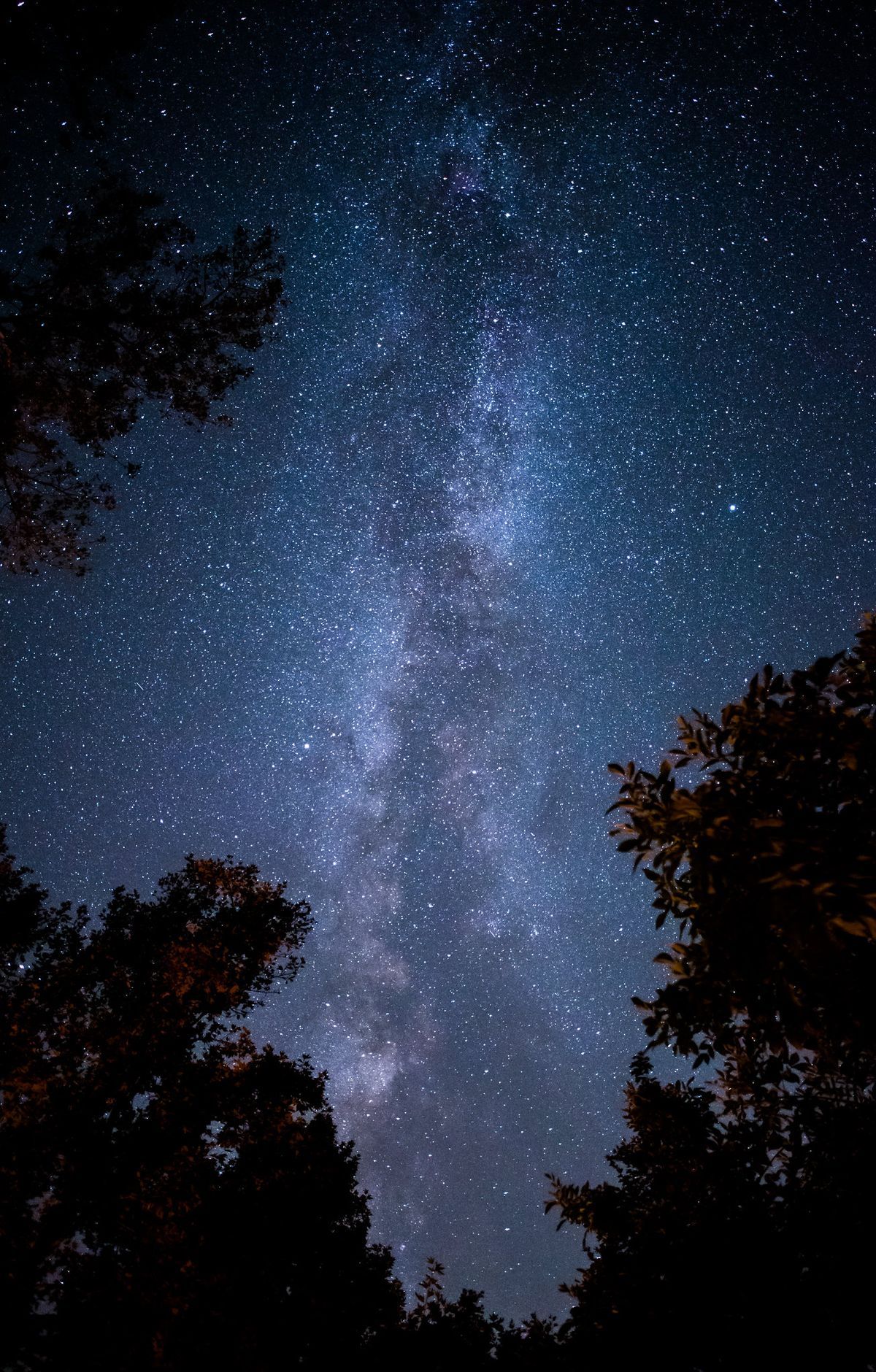 The Dark Sky Festival and Northward Stargazing, Sequoia & Kings Canyon National Parks