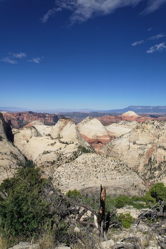 West Rim Trail, Zion National Park