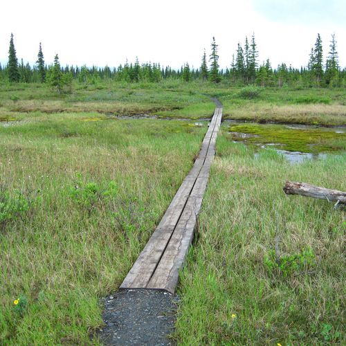 Wonder Lake Trail