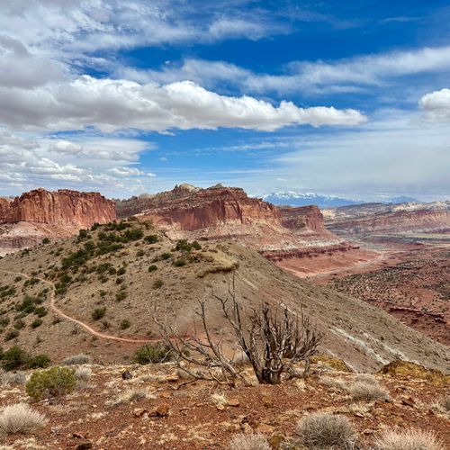Goosenecks Overlook