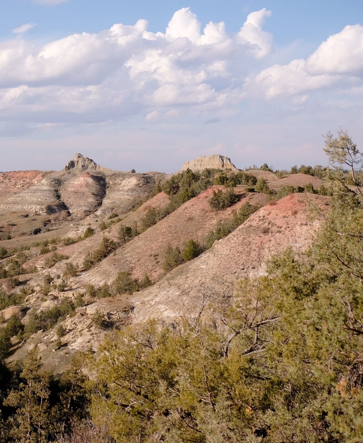 Petrified Forest Loop Trail, Theodore Roosevelt National Park