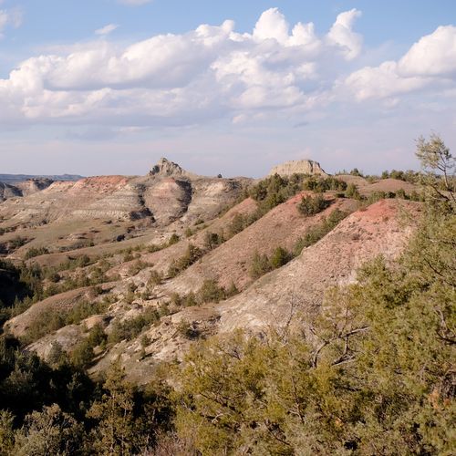 Petrified Forest Loop Trail