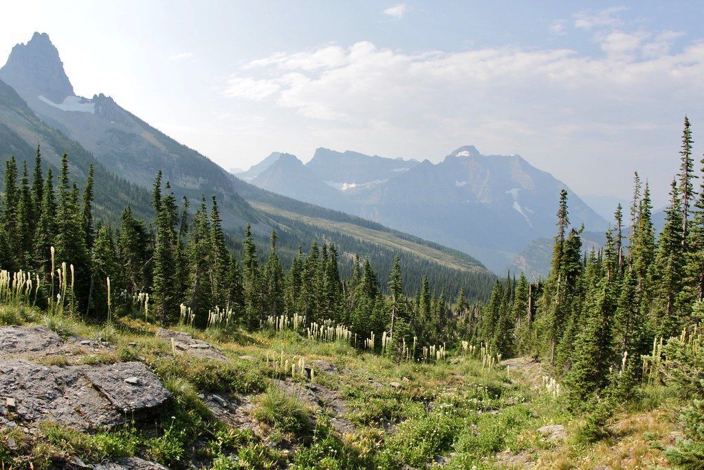 Granite Park Trail, Glacier National Park
