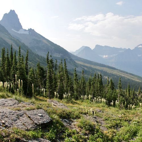 Granite Park Trail