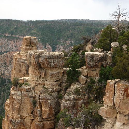 Point Imperial