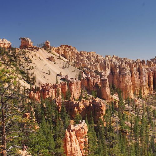 Swamp Canyon Overlook