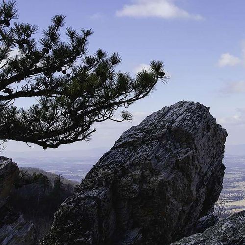 Riprap Trail