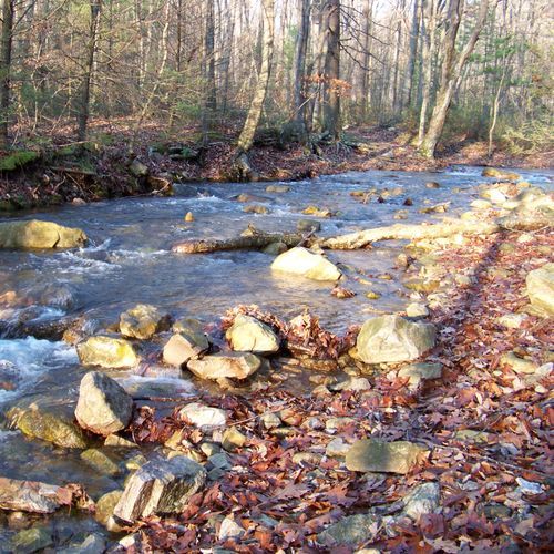 Wildcat Ridge Trail