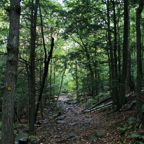 Lake George Trail