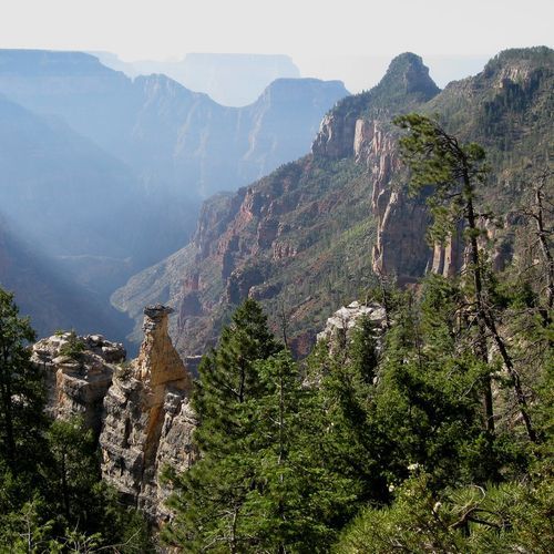 Widforss Trail