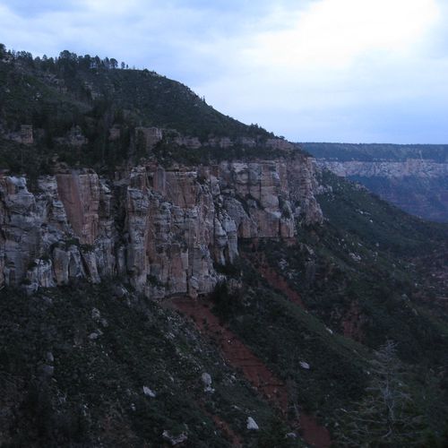 Bridle Trail
