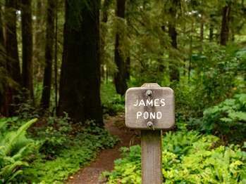 James Pond Nature Trail