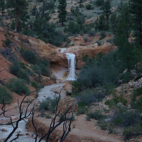 Mossy Cave Trail Overlook