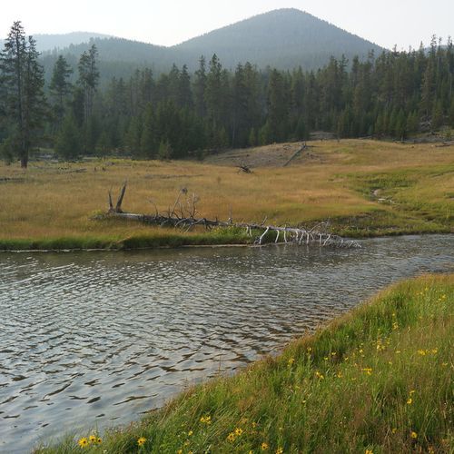 Purple Mountain Trail