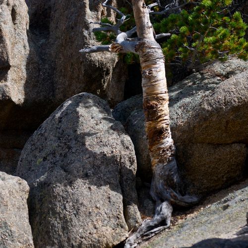 Balanced Rock