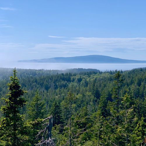 Overlook