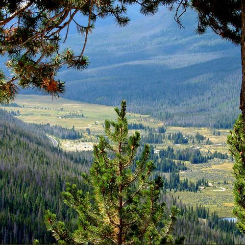 Viewpoint