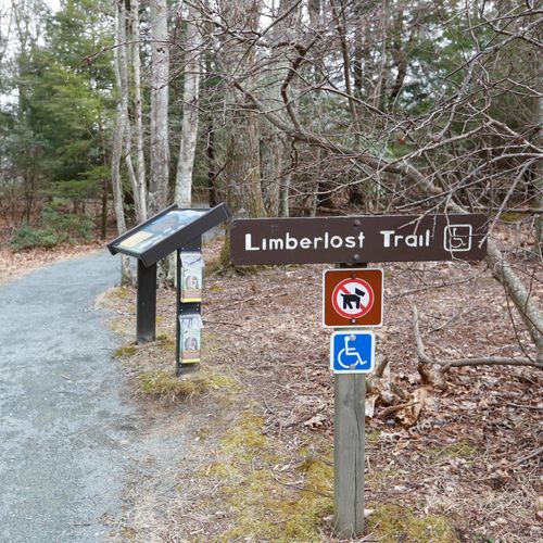 Limberlost Trail