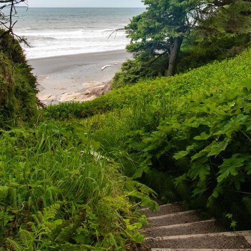 Beach 3 Nature Trail