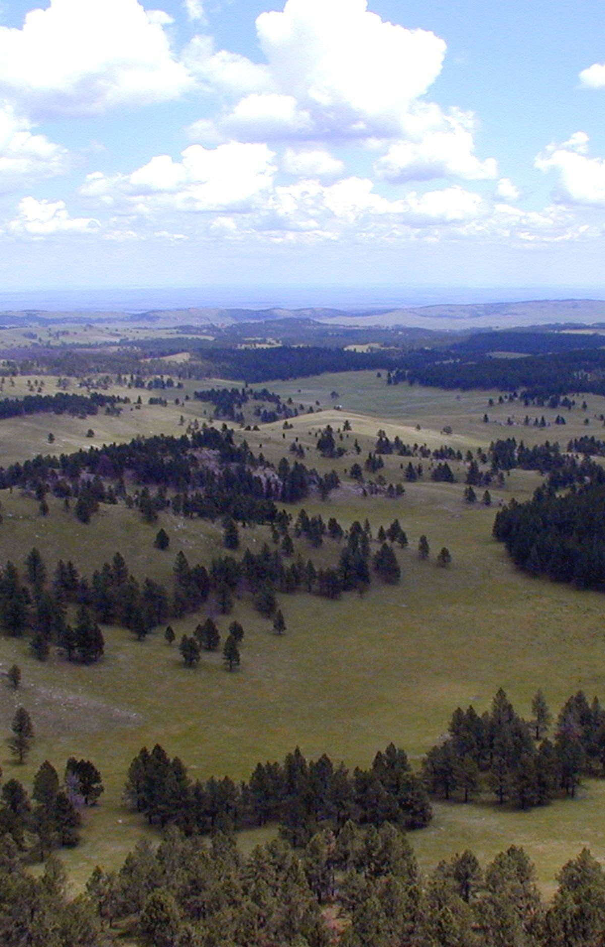 Wind Cave Geology Driving Tour, Wind Cave National Park