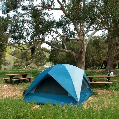 Santa Cruz Island Scorpion Canyon Campground