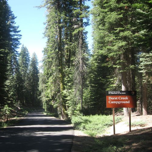 Dorst Creek Campground