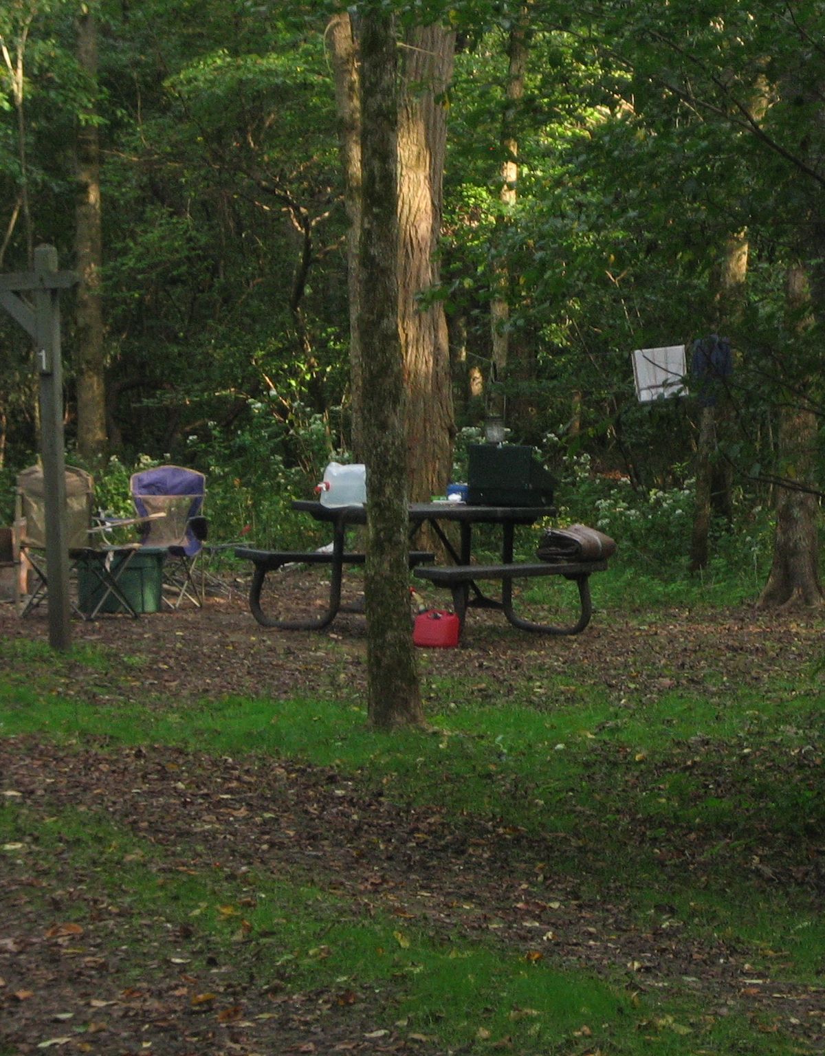 Free Primitive Riverside Campgrounds, New River Gorge National Park & Preserve
