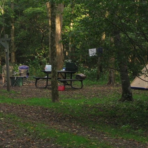 Glade Creek Campground