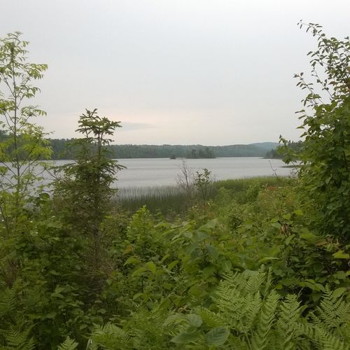 East Chickenbone Campground