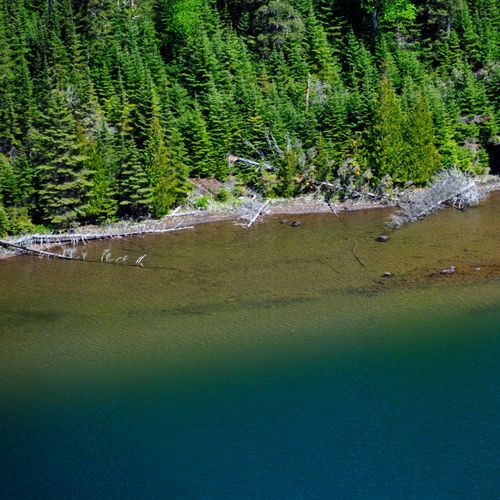 Duncan Bay Campground