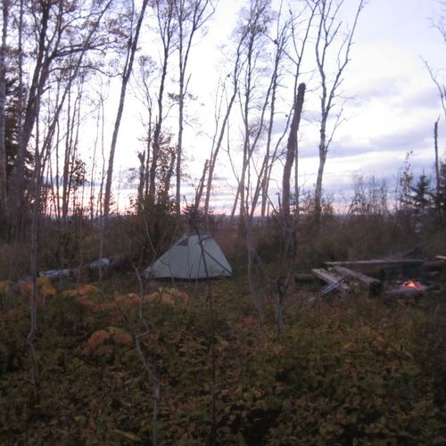 Little Todd Campground