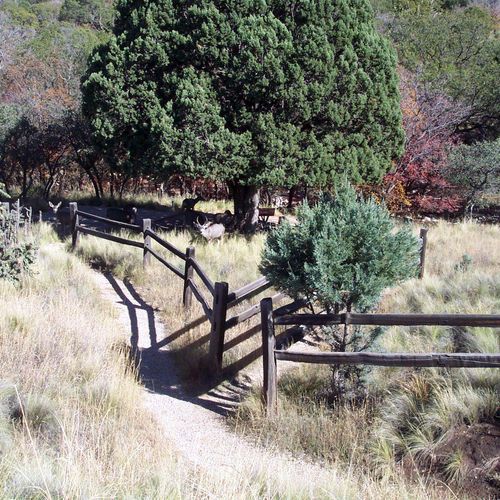 Dog Canyon Campground