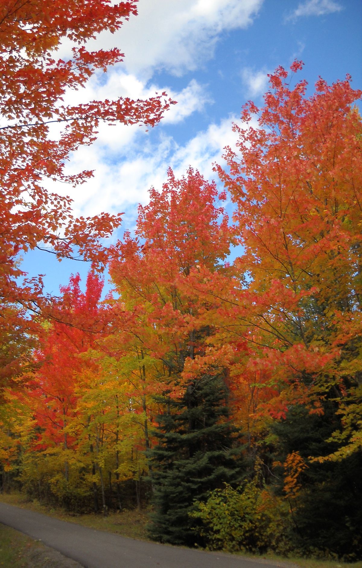 Voyageurs - Gallery thumbnail 3