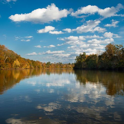Congaree