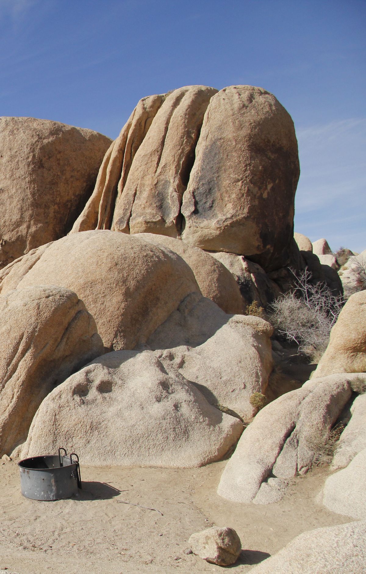 Nine Campgrounds and Peak-Season Camping, Joshua Tree National Park