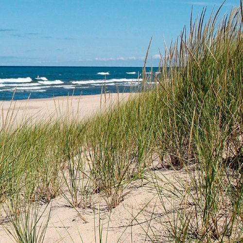 West Beach Trail